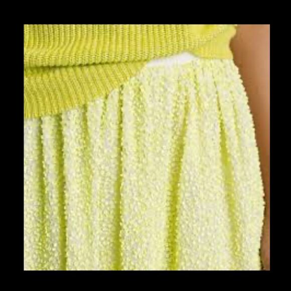 J Crew Collection Citron Sequin Silk Skirt NWT - Picture 2 of 7